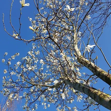 De Ruijter 3* Oud-Gastel