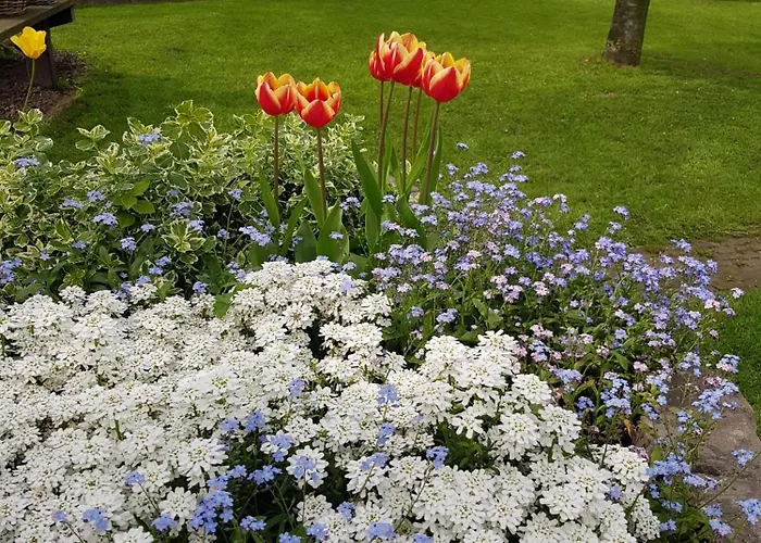 De Ruijter Bed and Breakfast 3*