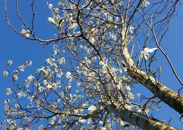 De Ruijter 3* Oud-Gastel